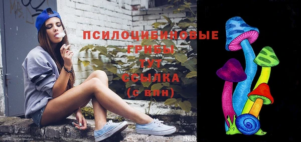 меф Гусь-Хрустальный